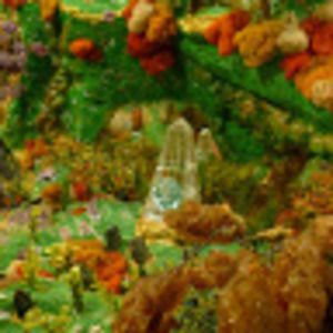 Meet your Posher, Ian